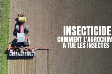 Les Saisons de la transition